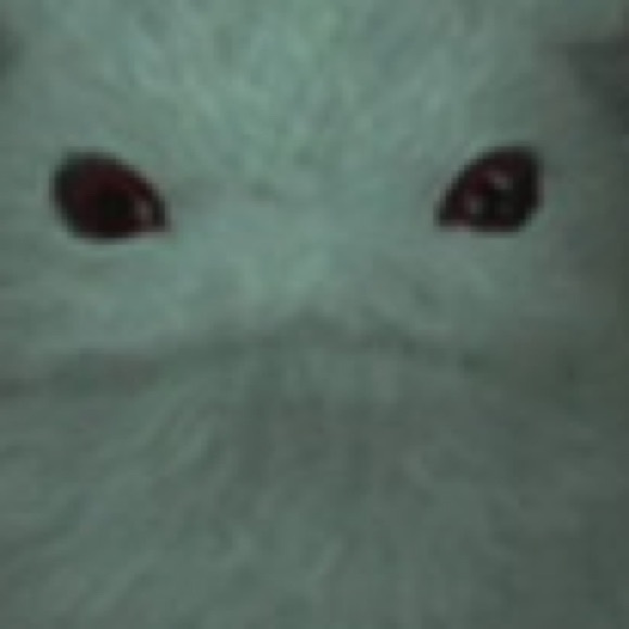 smolshy